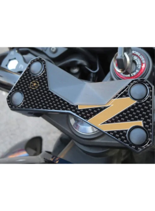 3D PROTECTION FORK PLATE...