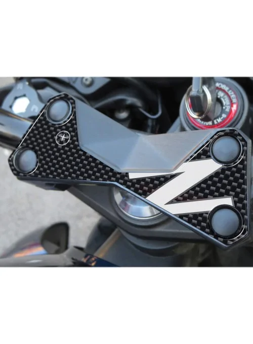 3D PROTECTION FORK PLATE...